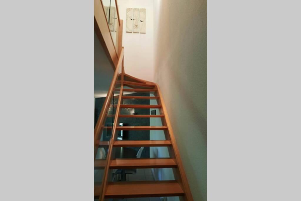 Superbe Duplex Au Nouveau Bassin Avec Vue Superbe Mülhausen Exterior foto
